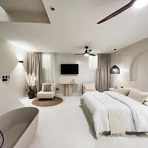 Superb Palais Royal Louvre Museum Free Netflix Apartamento